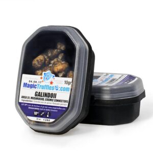 Magic Truffles Galindoii 15 gram