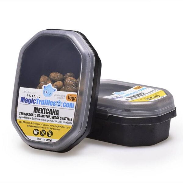 Magic Truffles Mexicana 15 gram