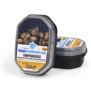 Magic Truffles Tampanensis 15 gram