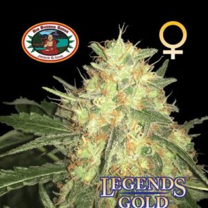 Big Buddha Legends Gold