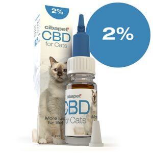 CBD Oil For Cats 2%