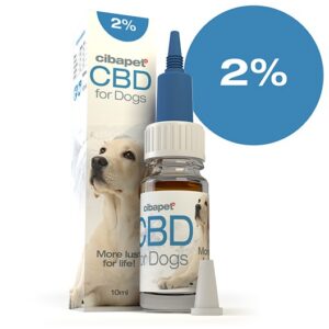 CBD Oil For Dogs 2%