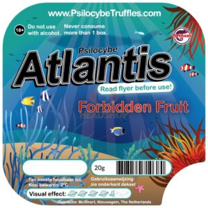 Psilocybe Truffles Atlantis 20 gram - 1 stuk