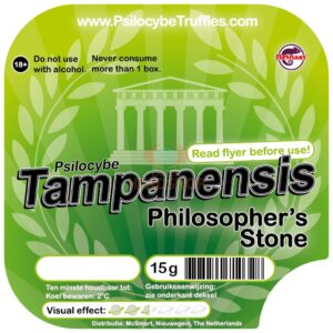 Psilocybe Truffles Tampanensis 15 gram - 5 stuks