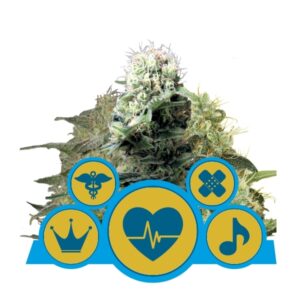 Royal Queen Seeds Medical Mix